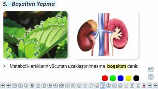 Eğitim Vadisi TYT Biyoloji 1.Föy Yaşam Bilimi Biyoloji 2 Konu Anlatım Videoları