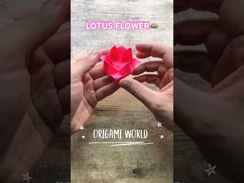 EASY LOTUS ORIGAMI FLOWER FOLDING | PAPER FLOWER LOTUS ORIGAMI TUTORIAL | DIY FLOWER PAPERCRAFT