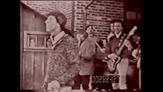The Outsiders - Time Won&#39;t Let Me - 1966 rare clip
