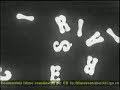 CIREȘARII Episodul 5
