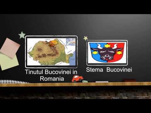 Cazare placuta Bucovina, cazare placuta la munte, vacanta placuta nordul Moldovei, sejur Bucovina