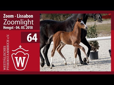 64  Zoomlight HF v. Zoom - Lissabon