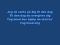 Medina Lykkepille Lyrics