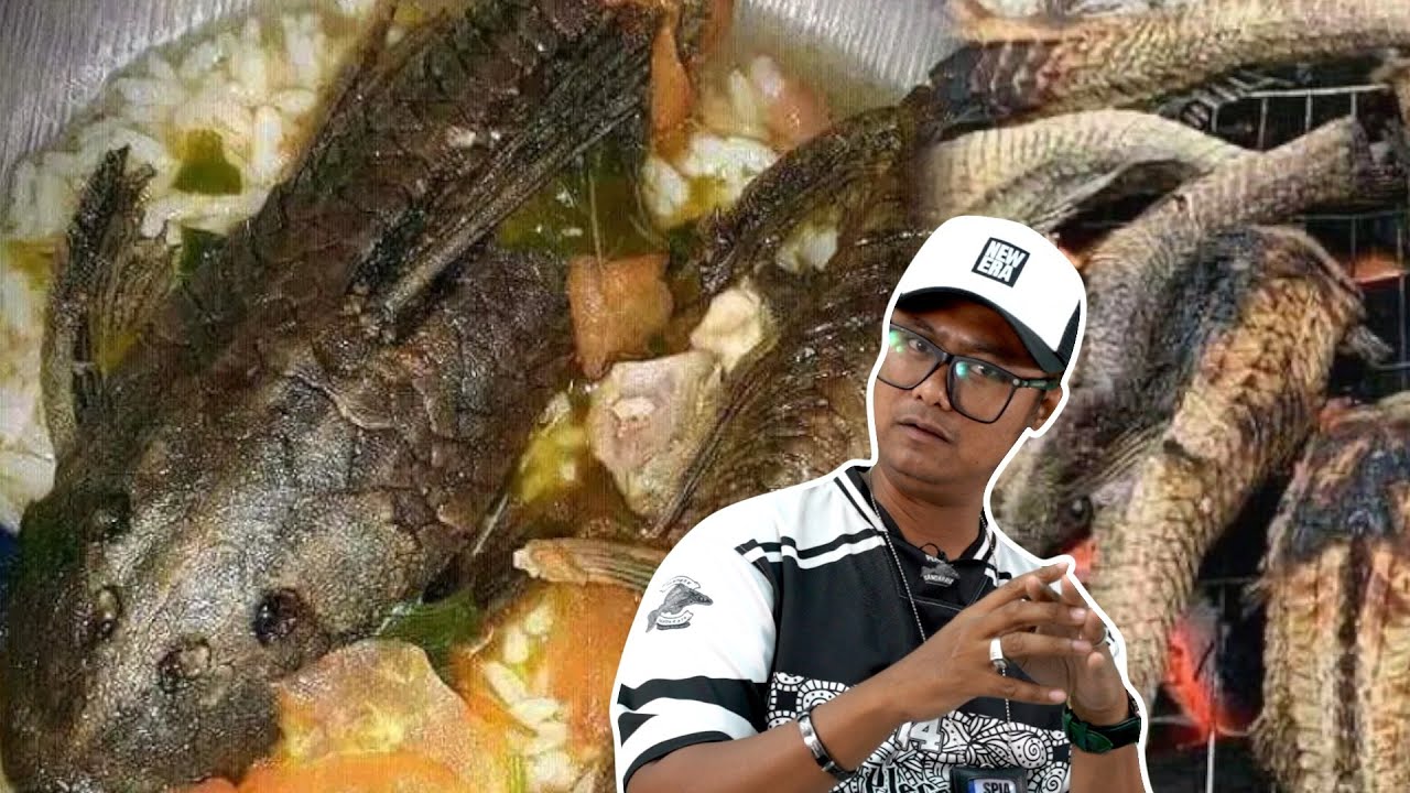 Boleh Makan Ke Ikan Bandaraya?