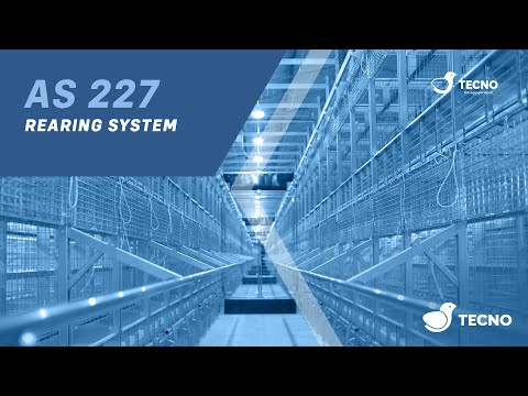 Ideal AS 227 rearing system