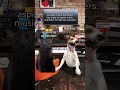 haters gonna hate 😂 #musicpromotion - Manufacturing Viral haters gonna hate 😂 #musicpromotion
