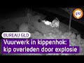 Man blaast kippenhok op met vuurwerk | Bureau GLD