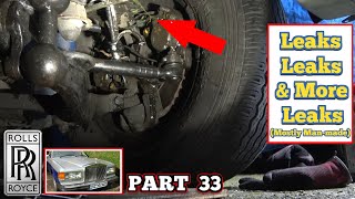 Leaks Leaks & More Leaks (Mostly Man-made)