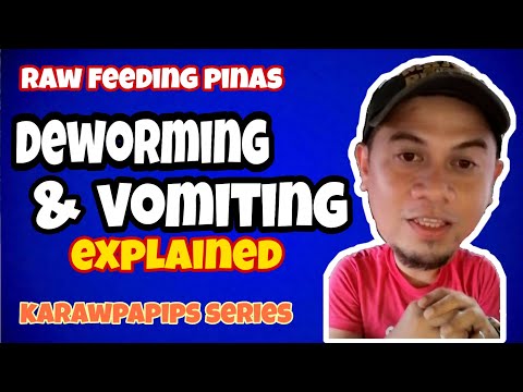 Raw feeding:Dog vomiting/ deworming for dogs. Philippines