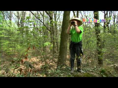 KinjerKraom - aflevering 792 - TV Limburg - uitzending 25-05-2013