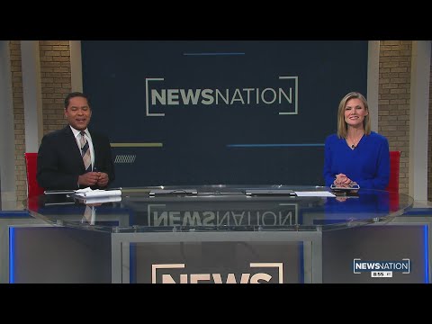 Hear from the attorney behind the viral Zoom kitten filter