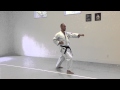 Outside Block, Reverse Punch (back) | IKD Testing Syllabus videos | Shotokan Karate 2013
