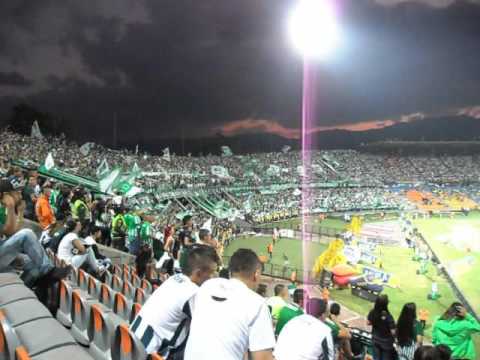 "A mi me volvió loco ser de Nacional - Nacional vs Alianza Petrolera" Barra: Los del Sur • Club: Atlético Nacional