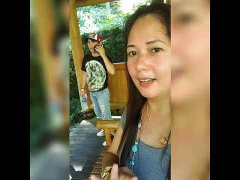 Japan 🇯🇵 Yaotsu-cho Kamo-Gun FALLS vlog#6