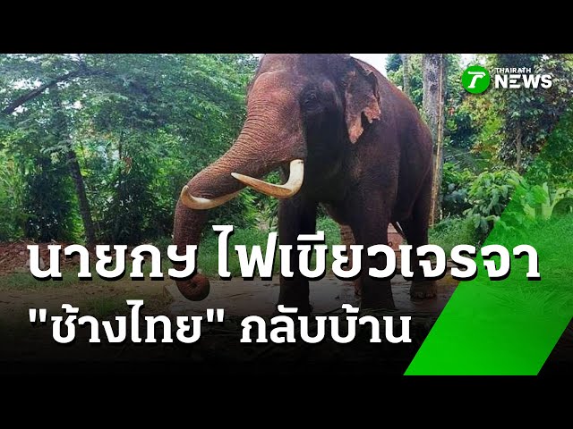 นายกฯ ไฟเขียวเจรจา "ช้างไทย" กลับบ้าน : ภาวะโลกร้อง  | 27 ต.ค. 68 | ไทยรัฐเจาะประเด็น
