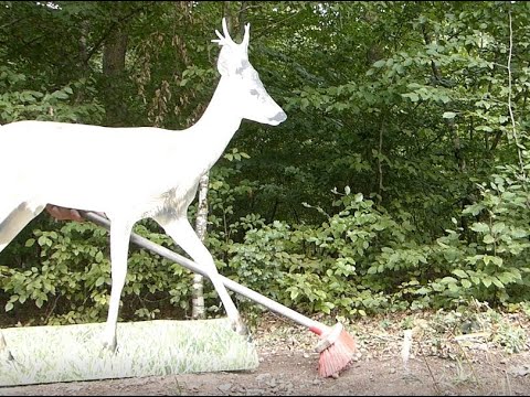 Förster Klaus - Waldgruß #46 - Kehrwoche, ein Rehbock fegt