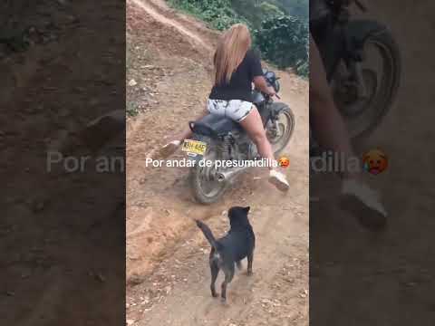 Esas son HABILIDADES😮‍💨👌🏻 #humor #risa #divertido #gracioso #novios #moto