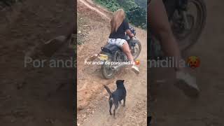 Download lagu Esas son HABILIDADES😮‍💨👌🏻 #humor #risa #divertido #gracioso #novios #moto mp3