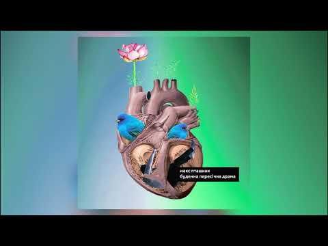 макс пташник - Буденна пересічна драма (2018)