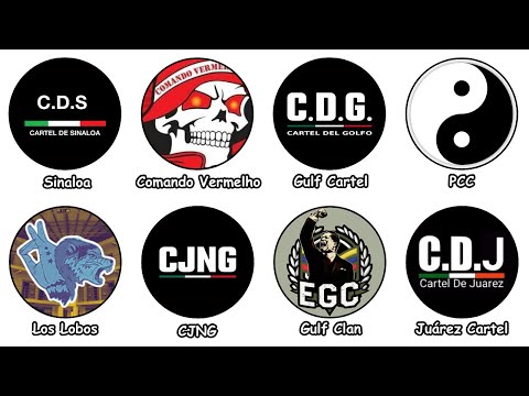 Every Cartel in Mexico and South America Explained in 13 minutes