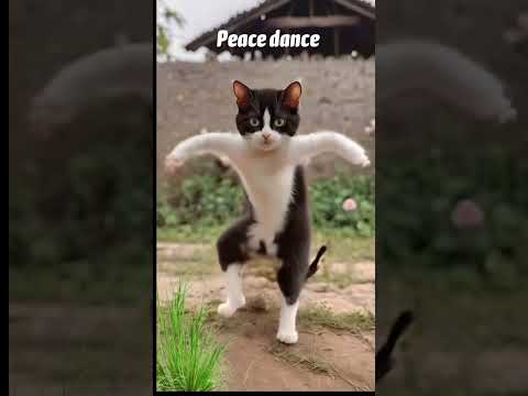 Dance Cartoon #funny #fb #youtube #cartoon #facebook#shorts #trending