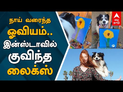 நாய் வரைந்த அற்புத ஓவியம்..இன்ஸ்டாவில் குவிந்த லைக்ஸ் | Instagram Viral Video | Dog Drawing | Secret