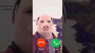 Cover art for John Pork Is Calling For An Hour