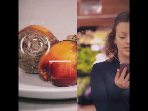 Видеообзор