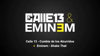 Calle 13 &amp; Eminem - Shake the Cumbia de los Aburridos [Mashup/Remix]