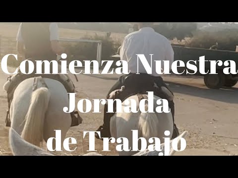 Comienza hoy la Jornada de Trabajo