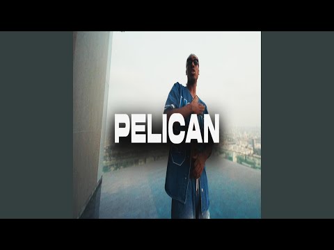 PELICAN
