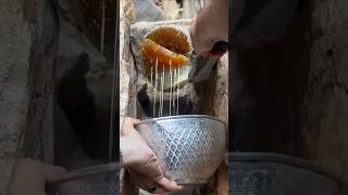خلية عسل بوطويق من موسم السمر الحمدلله #shorts