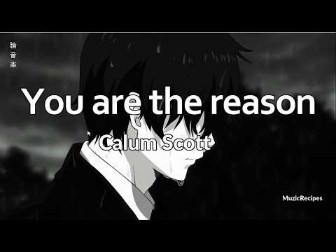 「MuzicRecipes  Calum Scott」 → You are the reason Lyrics 🎵