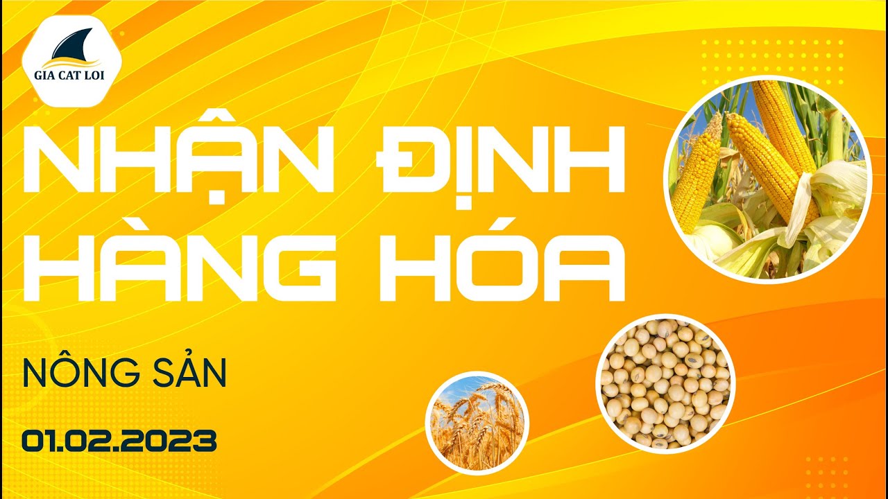Nhận Định Hàng Hoá Nông Sản Ngày 01/02/2023