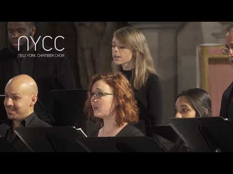 Der Augenblick | Joseph Haydn