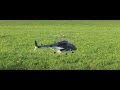 Airwolf 500 Nicht T Rex 500 Sondern Reely EP Thunder 500 BS EH 800 Mechanik
