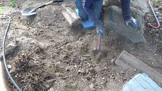 Who Hates Tree Roots?...I DO!!