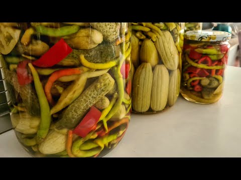 Yiyenler HAYRAN Kaldı 🫡BÜYÜK FIRSAT🫡 Tüm Turşularınızı Böyle Kurun Satış bile Yaparsınız