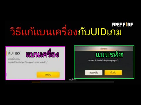 ชื่อ ฟีฟาย