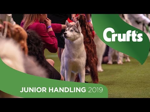 Internationaler Junior Handling Wettbewerb - Runde 1 Teil 1 | Crufts 2019