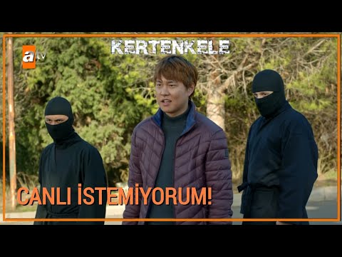 Mahalleyi Ninja'lar bastı! - Kertenkele