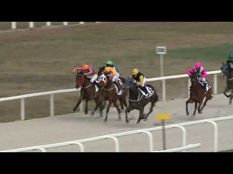 2021.04.04. 07. futam - NYERETLENEK VERSENYE (V.kat.)(szintetikus pálya)