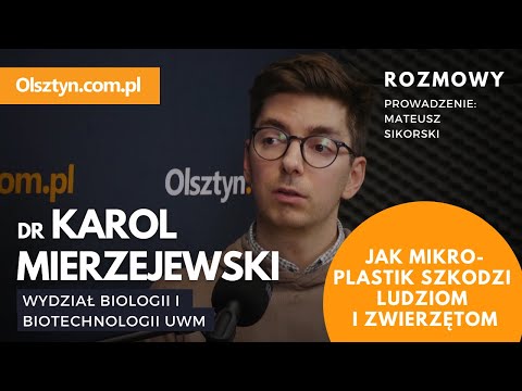 Dr Karol Mierzejewski (WBiB UWM) o wpływie mikroplastików na zwierzęta i ludzi
