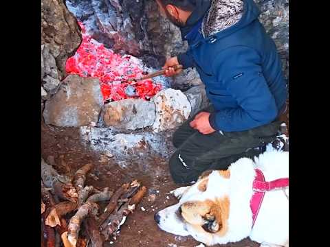 Winter snowstorm camping - Bushcraft survival shelter  #survival #campping #winter #diy