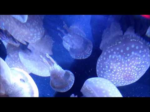 Waltz for Nana - (original jazz song/demo/piano solo)