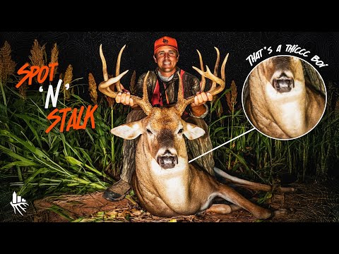 UNREAL Body on GIANT Midwest Buck!! (Spot & Stalk!)