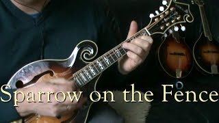Video thumbnail for Sparrow on the Fence by luurtieful