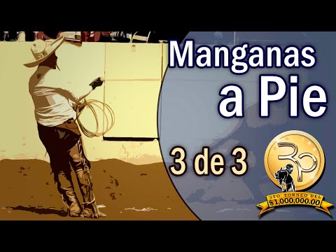 3 of 3 MANGANAS A PIE - 5th Million Tournament 2019