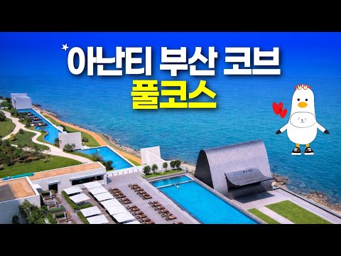 부산 아난티 코브 호텔: 꼭 알아야 할 11가지 핵심 꿀팁!