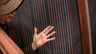 Harp Tuesday, Ep. 24 - Open Octaves and muffling (part 1)